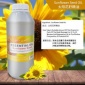 魅奈儿1kg天然植物基础油SPA全身按摩开背油霍霍巴油OEM/ODM外贸